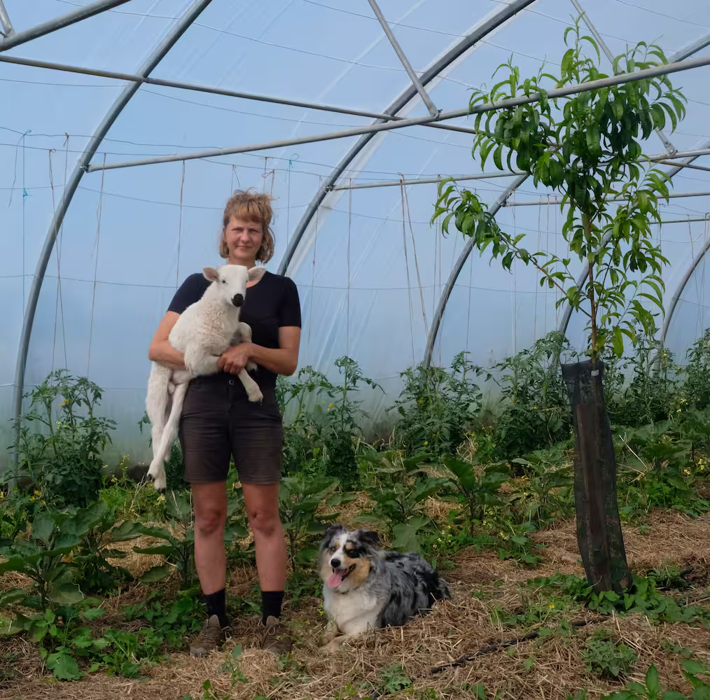 portrait_elsa(1) Sous une serre, Elsa porte une brebis dans les bras, avec son chien Zina couchée à ses pieds et à côté d'un jeune arbre.